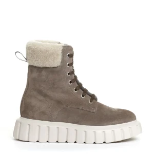 anfibio camoscio grigio con ecomontone