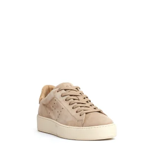 cassetta nuovo camoscio beige