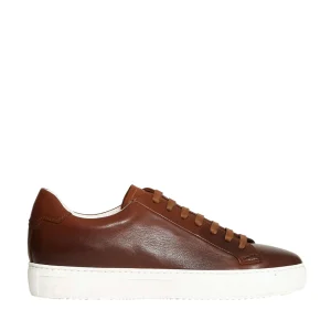Scarpe in pelle marrone Doucal's: sneakers di qualità