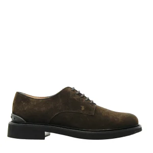 Scarpe Tod's: eleganti lace-up in camoscio marrone con suola in gomma