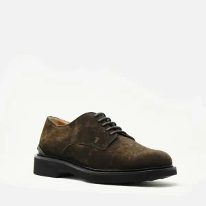 Scarpe Tod's: eleganti lace-up in camoscio marrone con suola in gomma