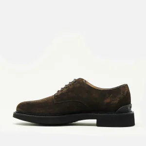 Scarpe Tod's: eleganti lace-up in camoscio marrone con suola in gomma