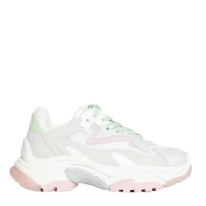 Scopri le nuove scarpe ASH - Addict con lacci bianchi, rosa e verdi