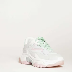 Scopri le nuove scarpe ASH - Addict con lacci bianchi, rosa e verdi