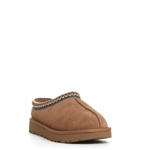 Tasman montone chestnut profilo marrone