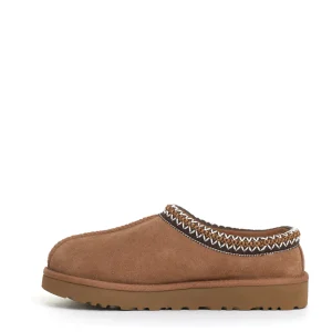 Tasman montone chestnut profilo marrone